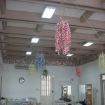 full view of classroom with planters on top